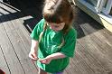Picture 3247
